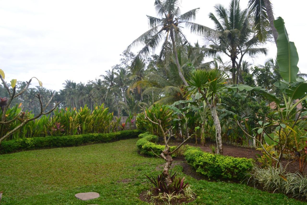 Buda Cottage Ubud Extérieur photo