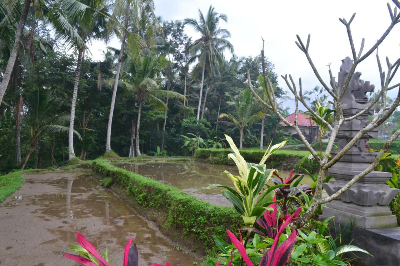 Buda Cottage Ubud Extérieur photo