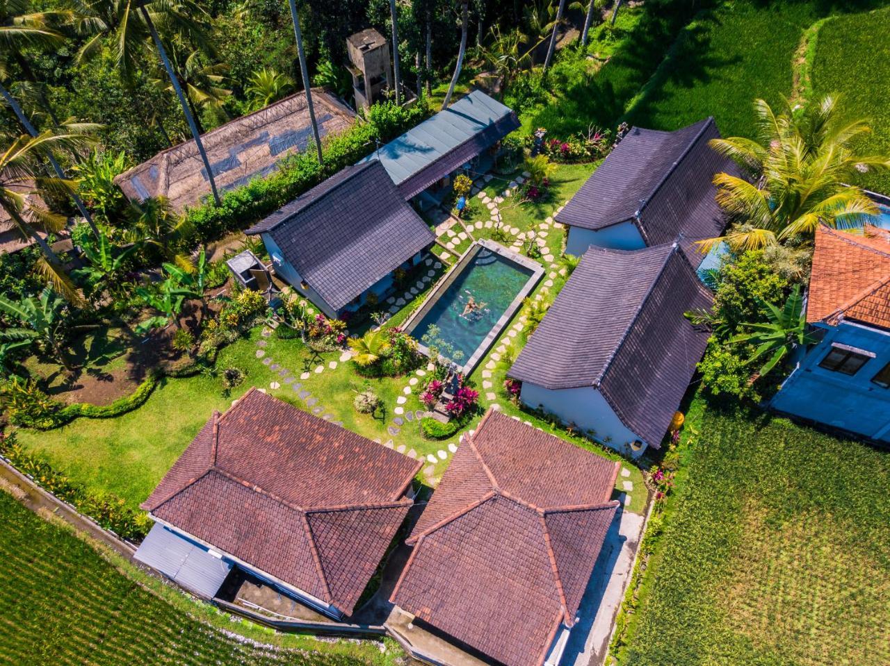 Buda Cottage Ubud Extérieur photo